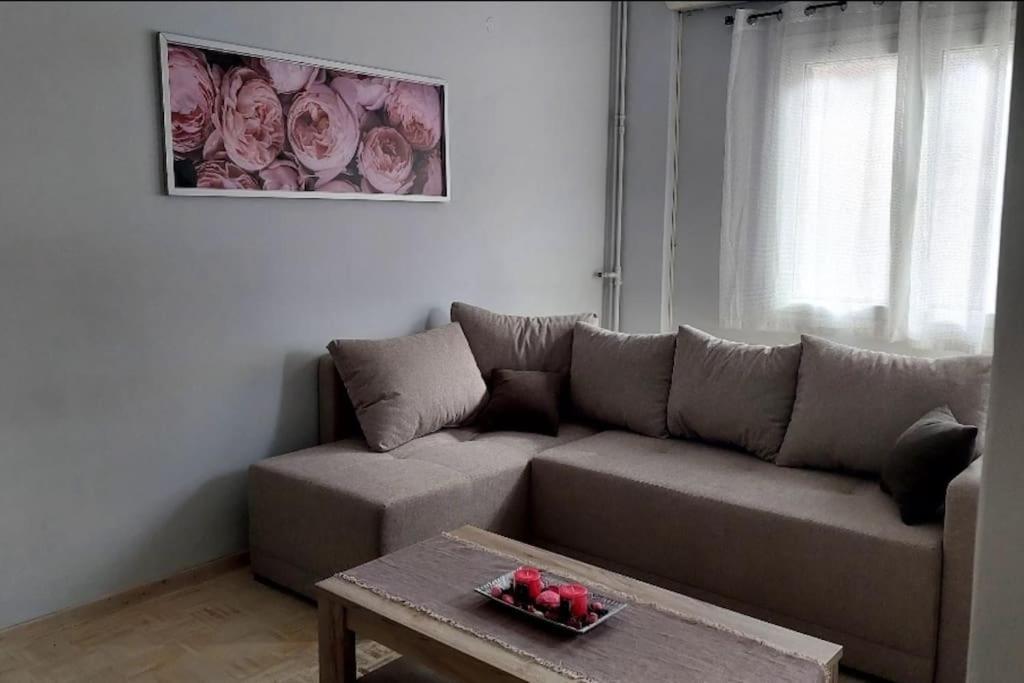 Nephiria'S Cozy Apt In Kerkira! Leilighet Corfu  Eksteriør bilde